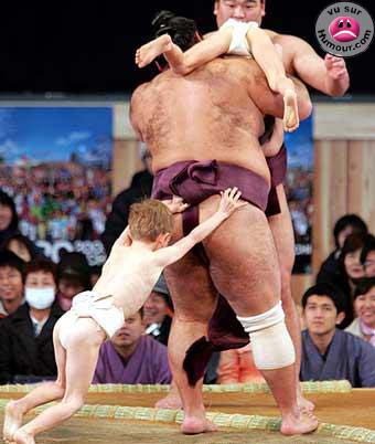 Sumo